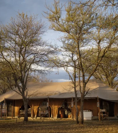 Serian Serengeti Kusini outside view tent
