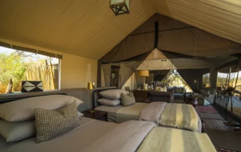 twin tent machaba camp botswana yellow zebra safaris