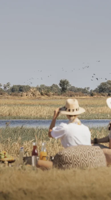 Picnic, Little Mombo, Moremi Game Reserve, Botswana