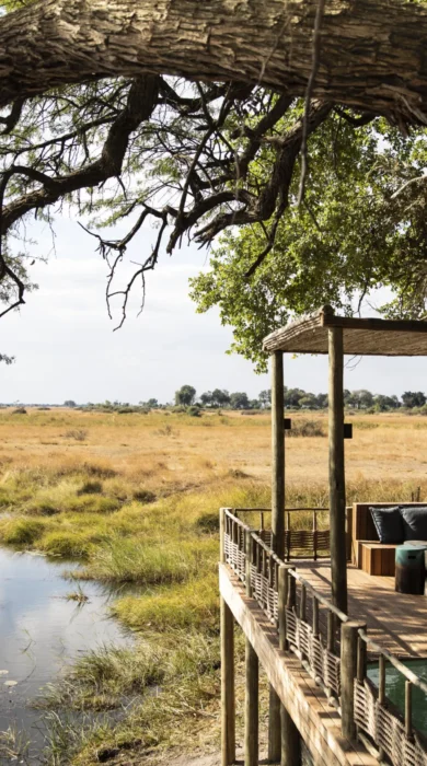 kings pool botswana decking yellow zebra safaris