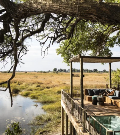kings pool botswana decking yellow zebra safaris