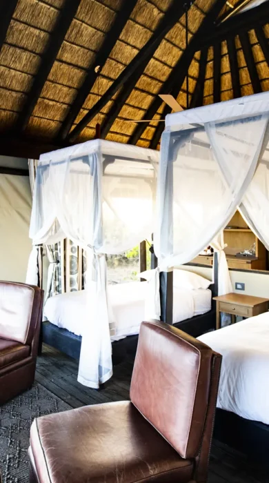 kings pool botswana twin room yellow zebra safaris