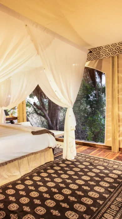 selinda camp botswana double bedroom yellow zebra safaris