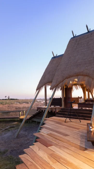 selinda camp botswana outside view yellow zebra safari