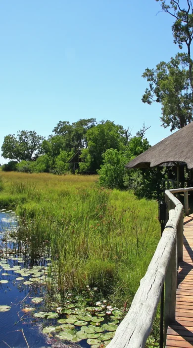 kwando lebala outdoor view