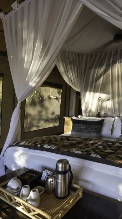 Wilderness Safaris Savuti (110)