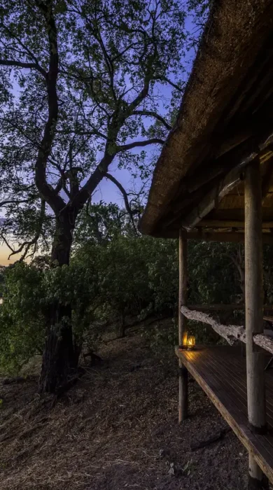 Wilderness Safaris Savuti (112)