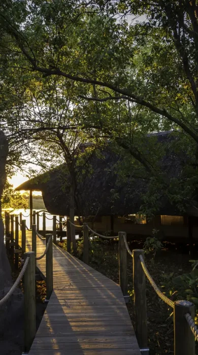 Wilderness Safaris Savuti (114)