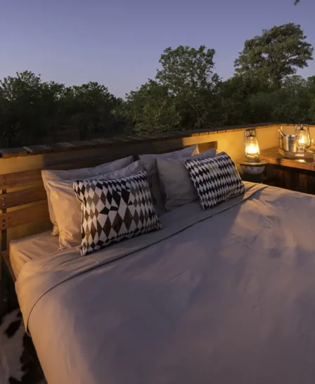 Wilderness Safaris Savuti (94)