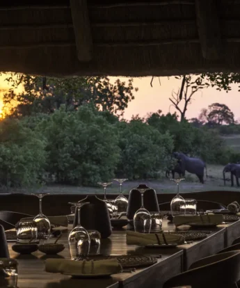 Wilderness Safaris Savuti (99)