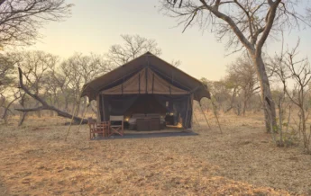 &Beyond Chobe Under Canvas exterior tent