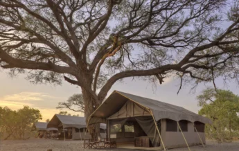 Savute under canva tent4