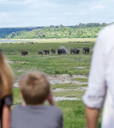 Game Viewing, Chobe Game Lodge, Chobe National Park, Botswana