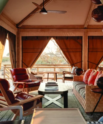 belmond savute elephant lodge main area botswana yellow zebra safaris