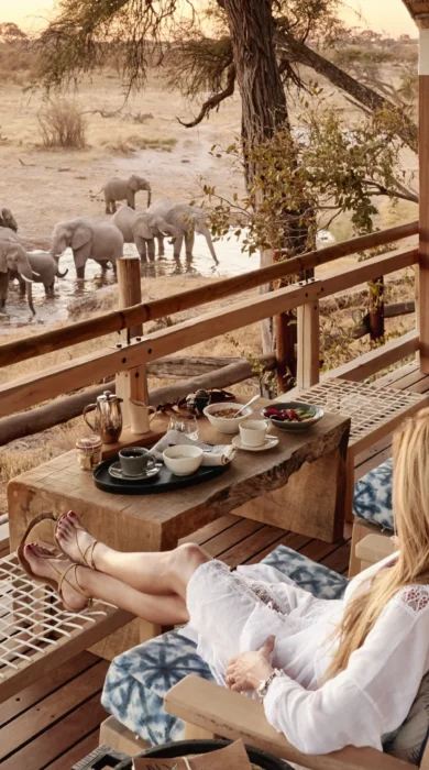 belmond savute elephant lodge botswana game viewing elephants yellow zebra safaris