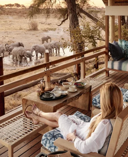 belmond savute elephant lodge botswana game viewing elephants yellow zebra safaris