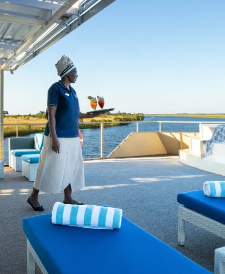 Zambezi queen front deck botswana yellow zebra safaris