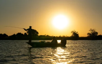 Zambezi queen mokoro botswana yellow zebra safaris