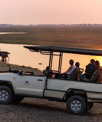 Game Drive, Chobe Elephant Camp, Chobe NP, Botswana