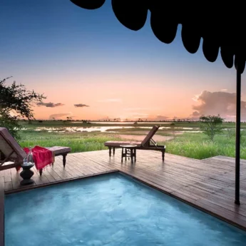 Swimming pool at Jacks Camp, Botswana