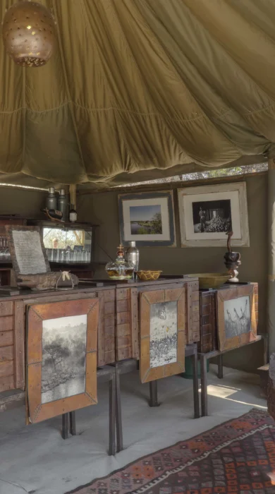 meno a kwena lounge botswana yellow zebra safaris