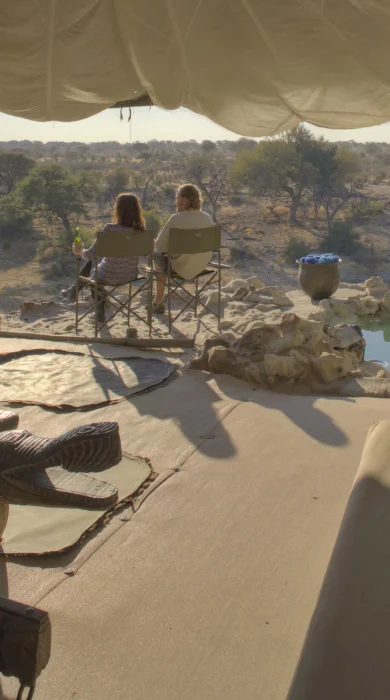 meno a kwena main area botswana yellow zebra safaris