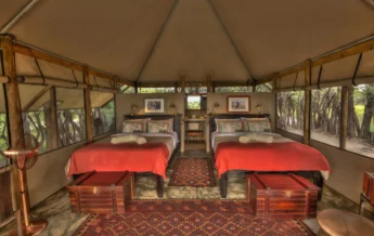 meno a kwena twin room botswana yellow zebra safaris