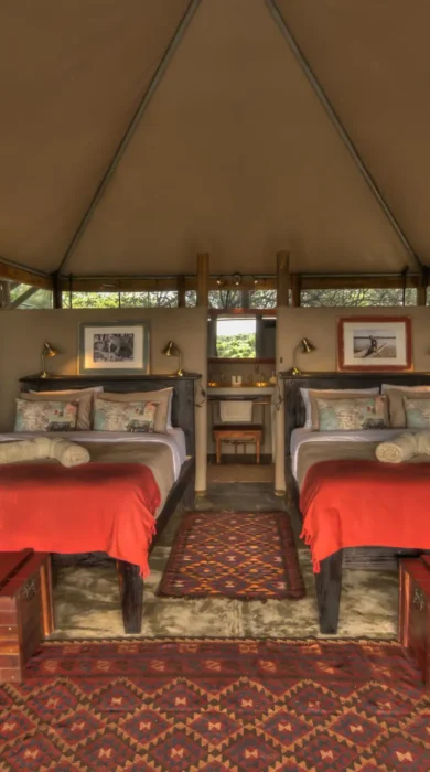 meno a kwena twin room botswana yellow zebra safaris