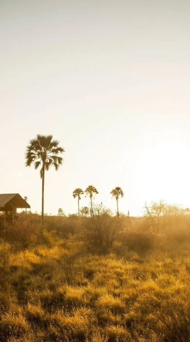 Tent Exterior, Camp Kalahari, Makgadikgadi Pans, Botswana