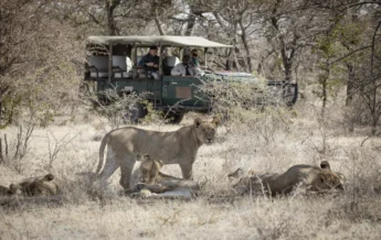 Game Drives, Camp Kalahari, Makgadikgadi Pans, Botswana