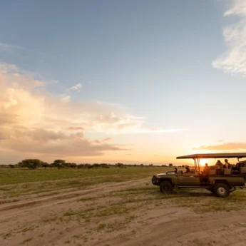 game drive, wilderness kalahari plains, central kalahari, botswana