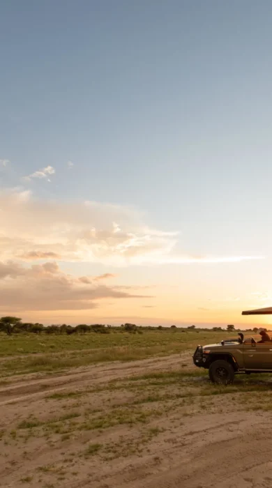 game drive, wilderness kalahari plains, central kalahari, botswana