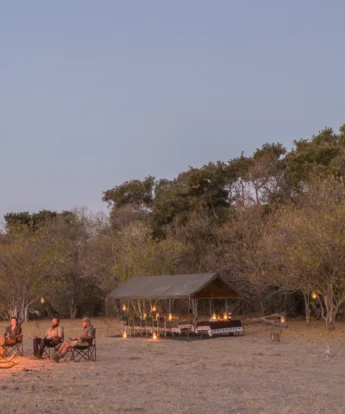 letaka safaris camp fire botswana yellow zebra safaris