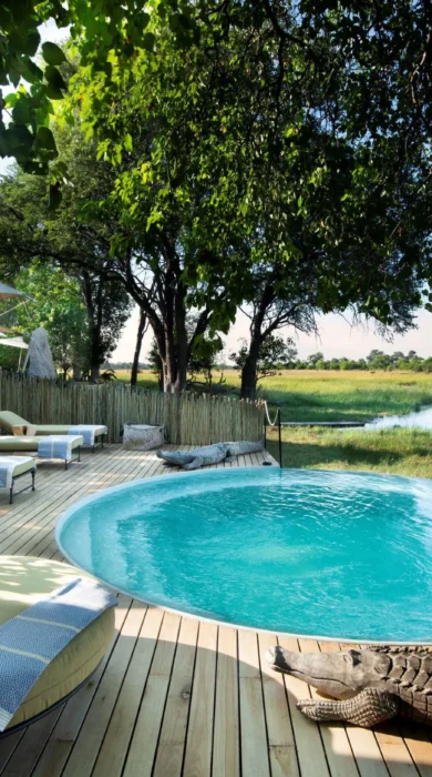 pool area, Khwai leadwood under thatch, botswana