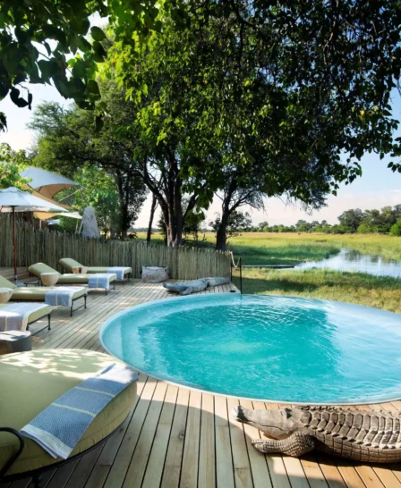 pool area, Khwai leadwood under thatch, botswana