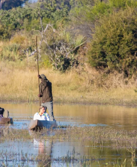 Botswana river safari
