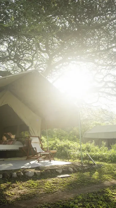 Tent, Esirai Camp, Serengeri NP, Tanzania