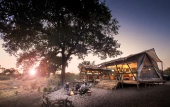 linyanti expeditions african bush camps botswana