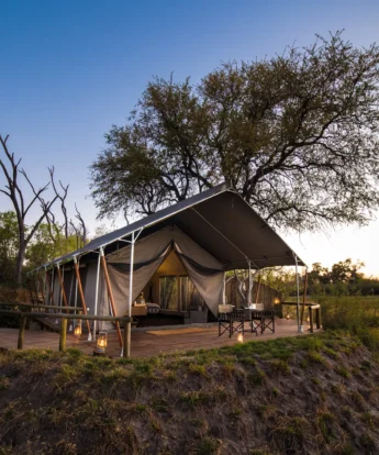 little machaba tent view botswana yellow zebra safaris