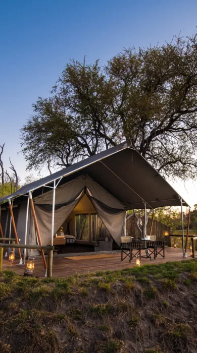 little machaba tent view botswana yellow zebra safaris