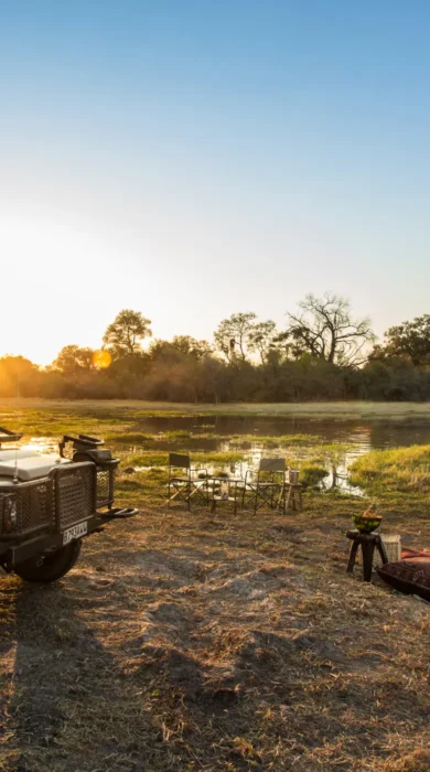 little machaba game drive botswana yellow zebra safaris