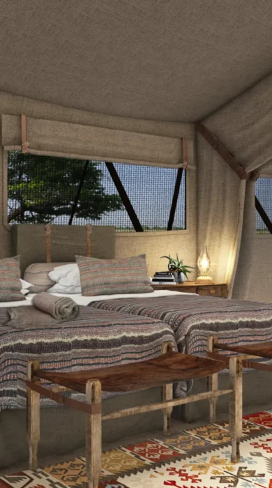 migration expeditions twin room Botswana yellow zebra safaris