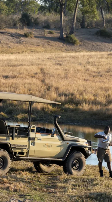 migration expeditions game drive Botswana yellow zebra safaris