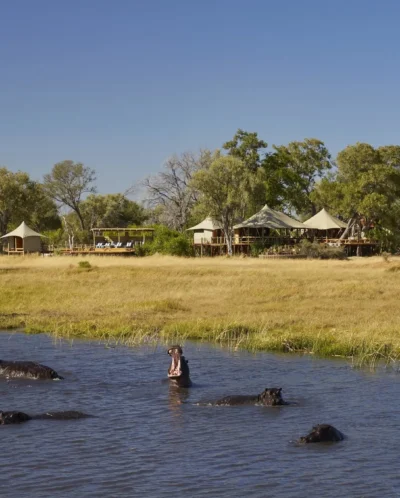 game, tuludi camp, khwai private reserve, botswana