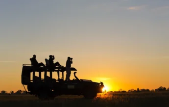 The people are merely profiles in the setting sun as they stand in the safari vehicle, Dukes Camp, Okavango Delta, Botswana - Yellow Zebra Safaris