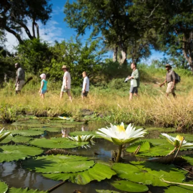 Walking, Sitatunga Private Island Camp, Okavango Delta, Botswana