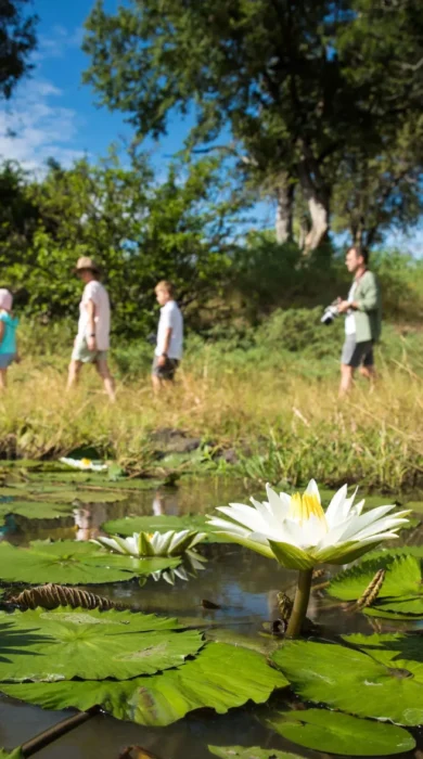 Walking, Sitatunga Private Island Camp, Okavango Delta, Botswana
