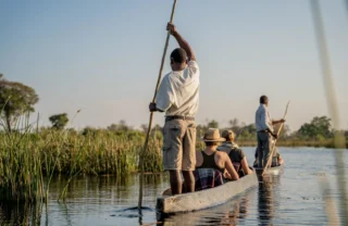 Moroko, Karangoma, Okavango Delta, Botswana