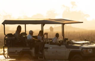 Game Drive, Maxa, Okavango Delta, Botswana