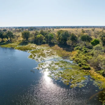Aerial, Maxa, Okavango Delta, Botswana